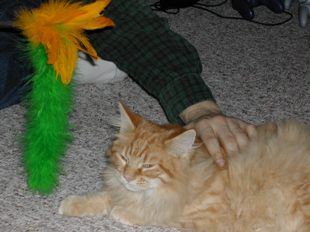 DSCN0755.JPG
