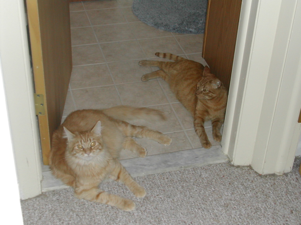 DSCN0877.JPG