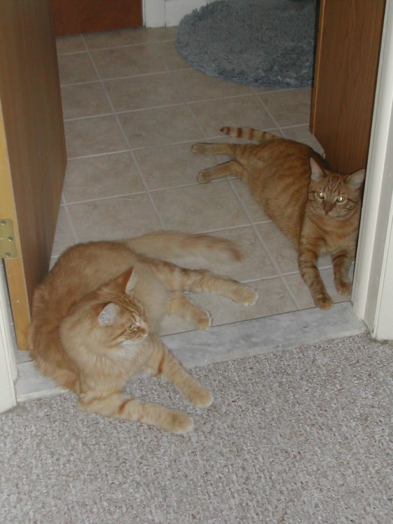 DSCN0878.JPG