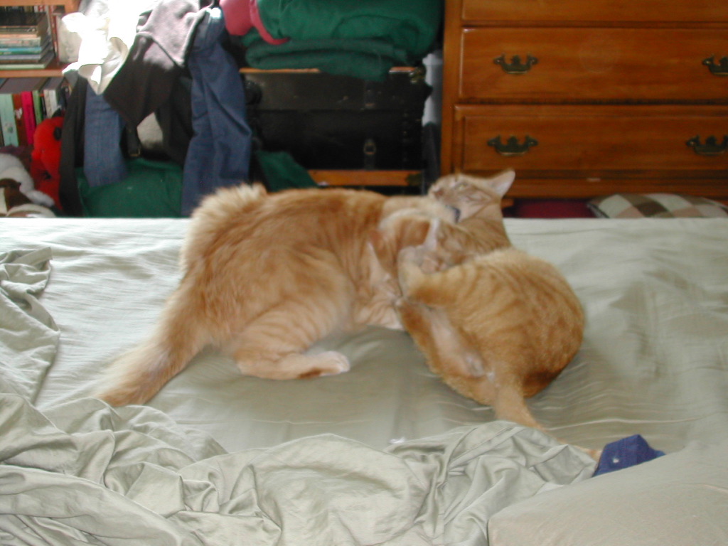 DSCN0880.JPG