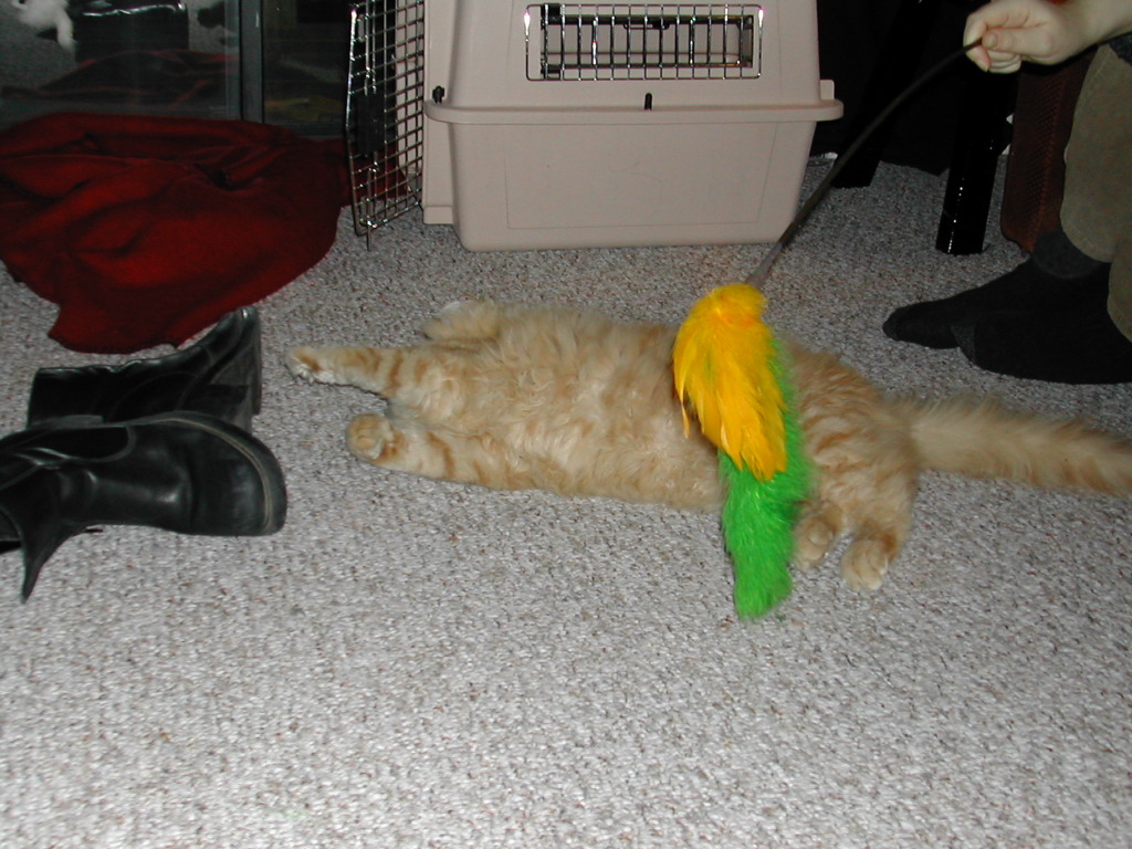 DSCN0756.JPG