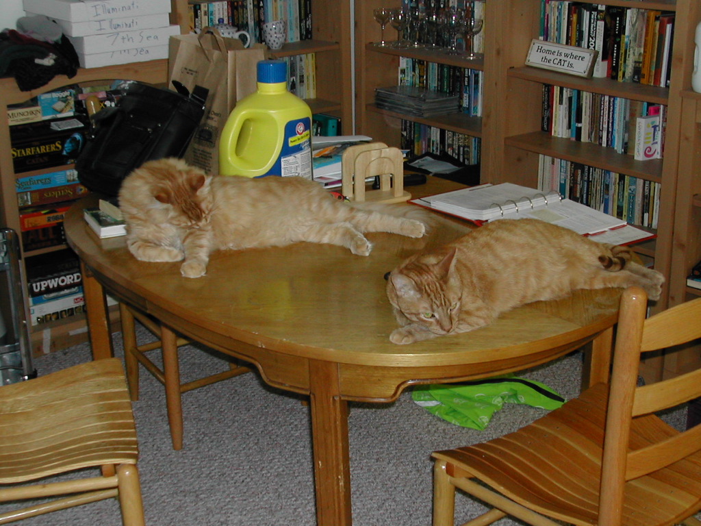 DSCN0884.JPG