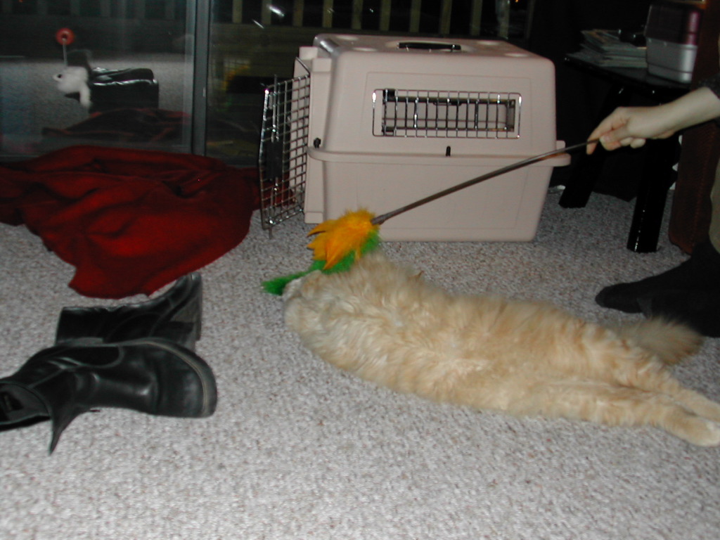 DSCN0757.JPG