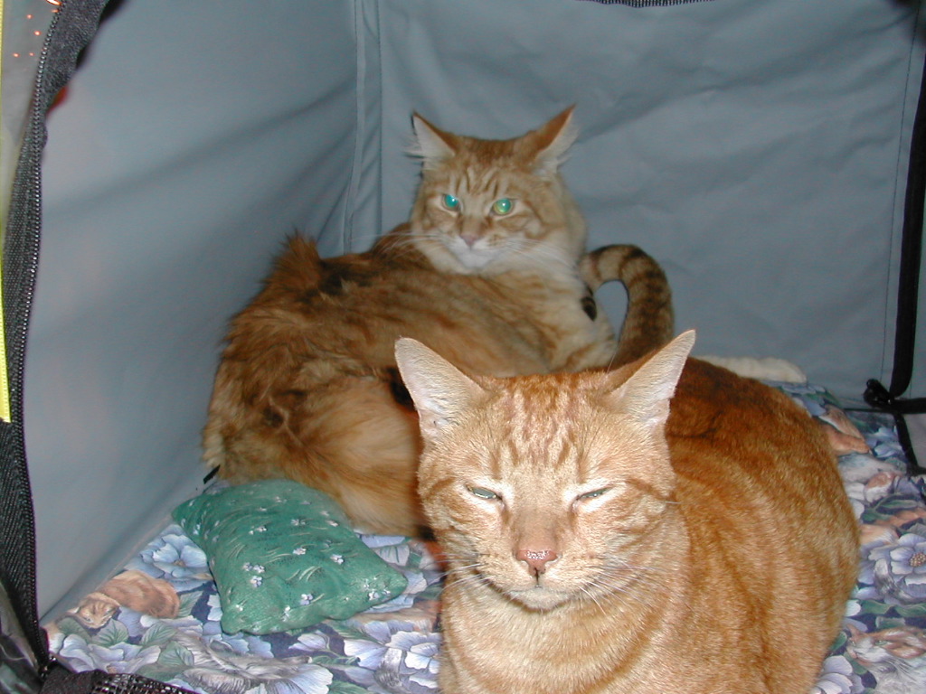 DSCN0982.JPG