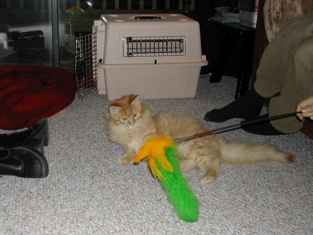 DSCN0758.JPG