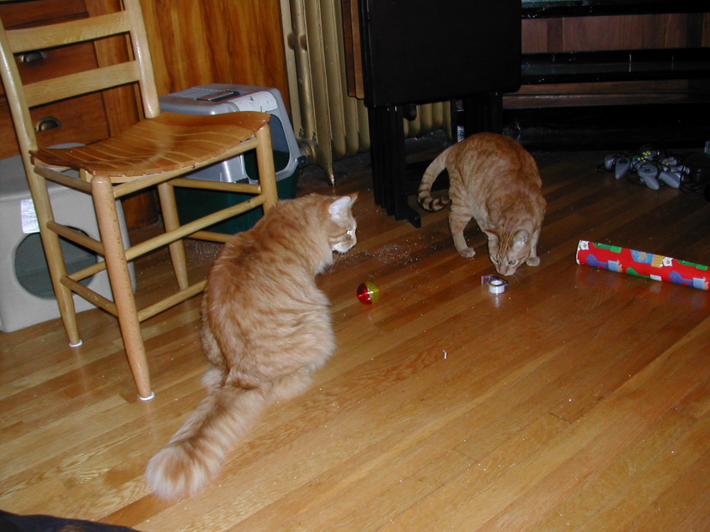 DSCN0990.JPG