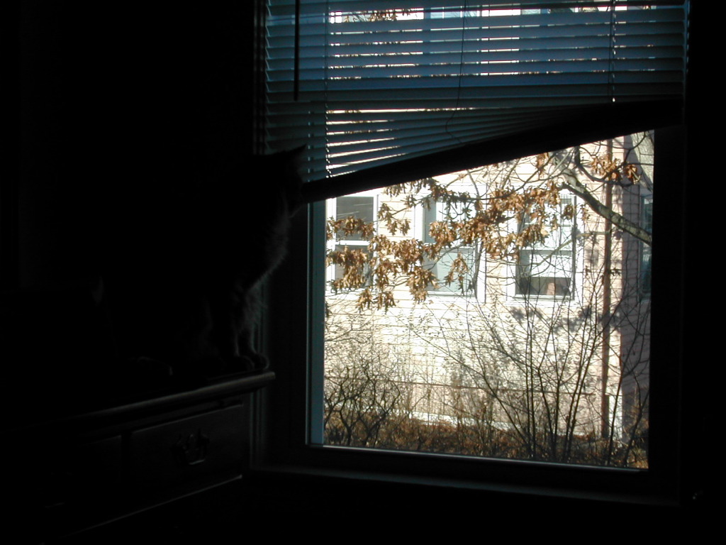 DSCN0993.JPG