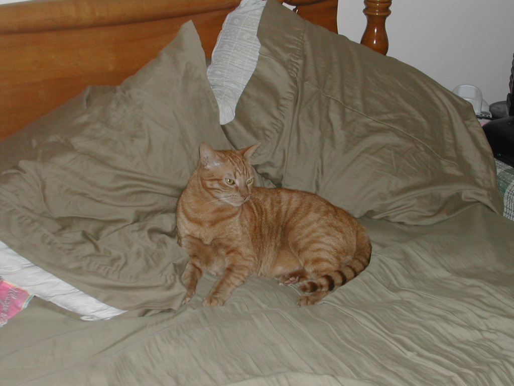 DSCN0997.JPG