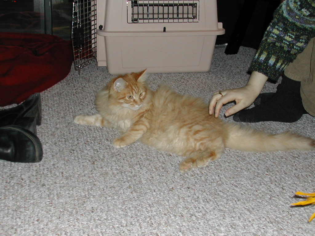 DSCN0759.JPG
