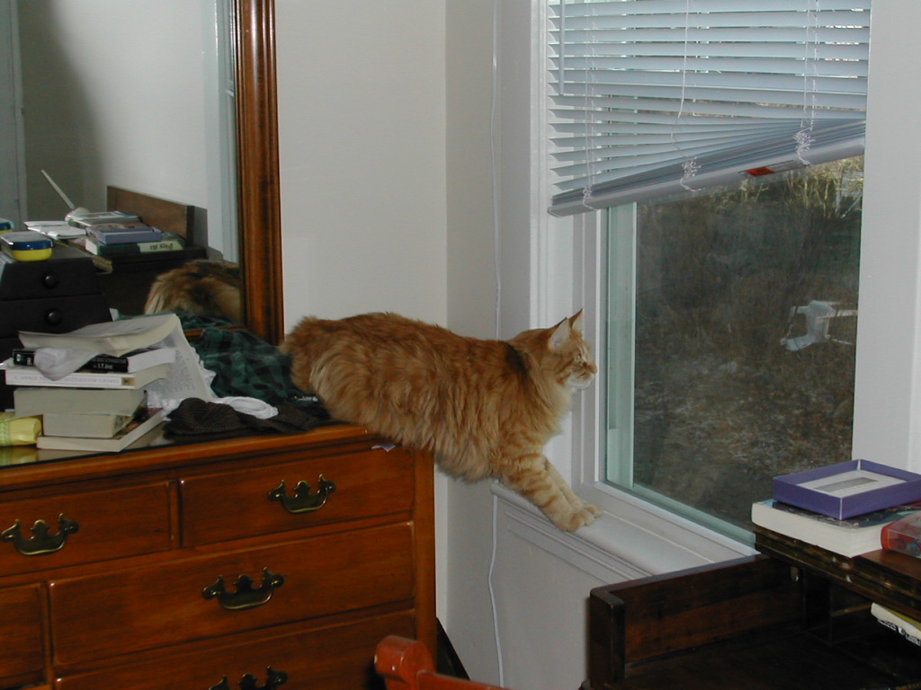 DSCN1001.JPG