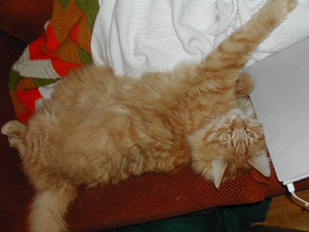 DSCN1003.JPG