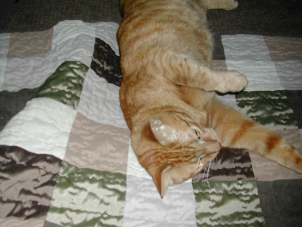 DSCN1004.JPG