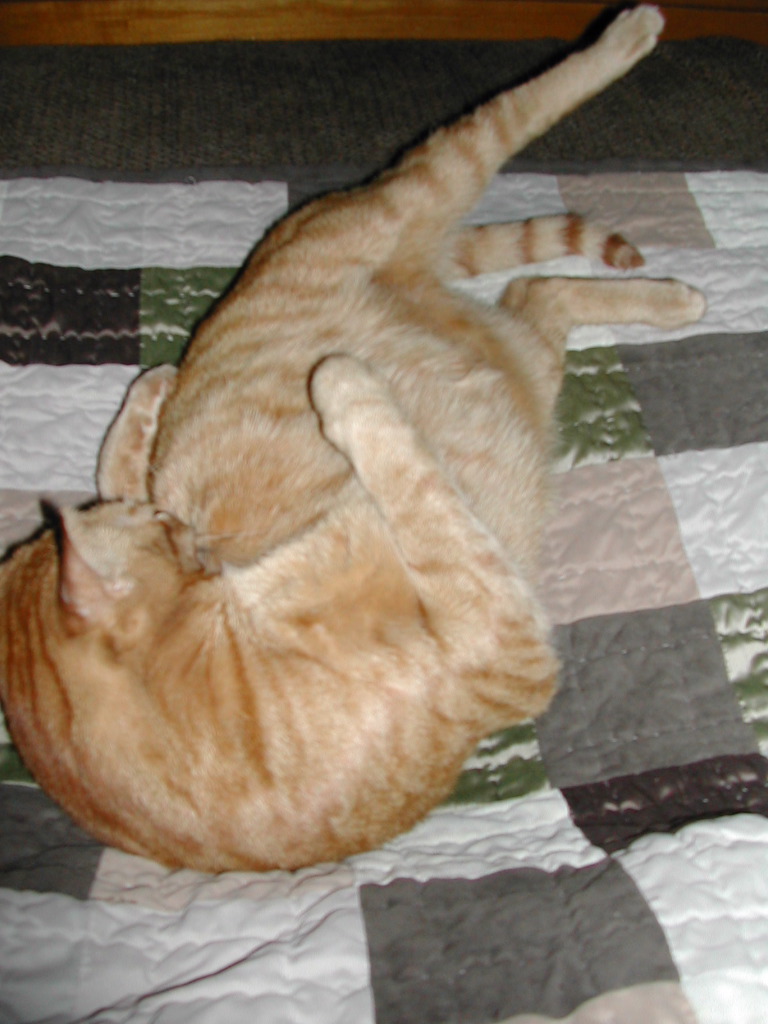 DSCN1007.JPG