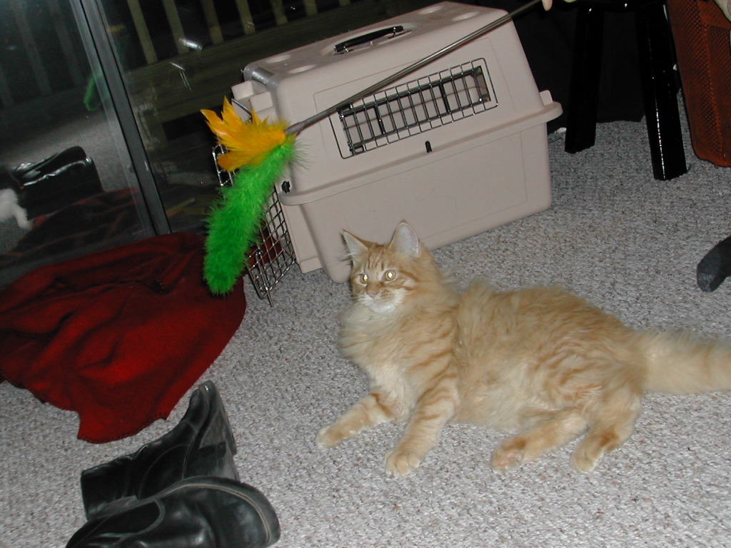 DSCN0760.JPG