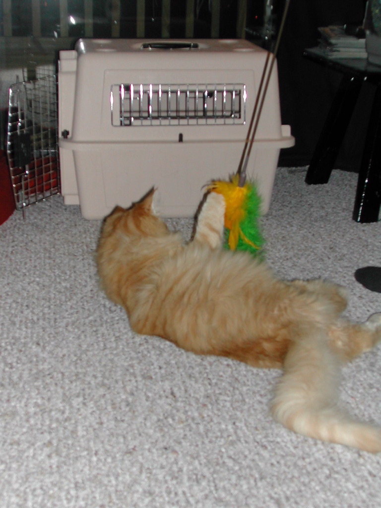 DSCN0761.JPG