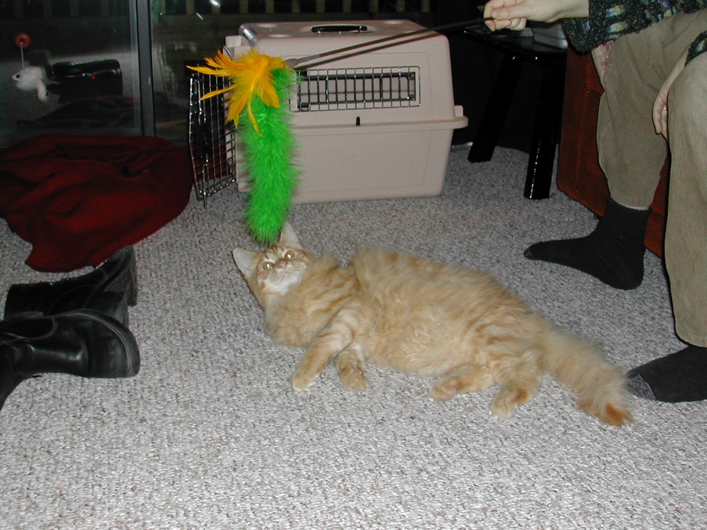 DSCN0762.JPG