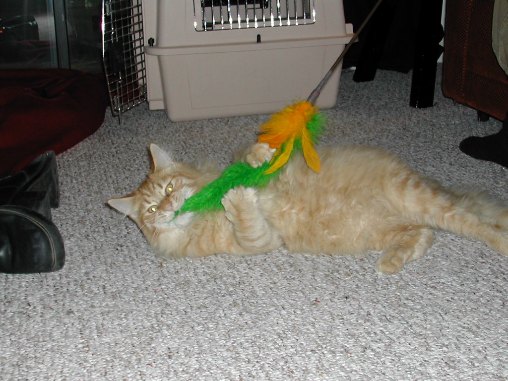 DSCN0764.JPG