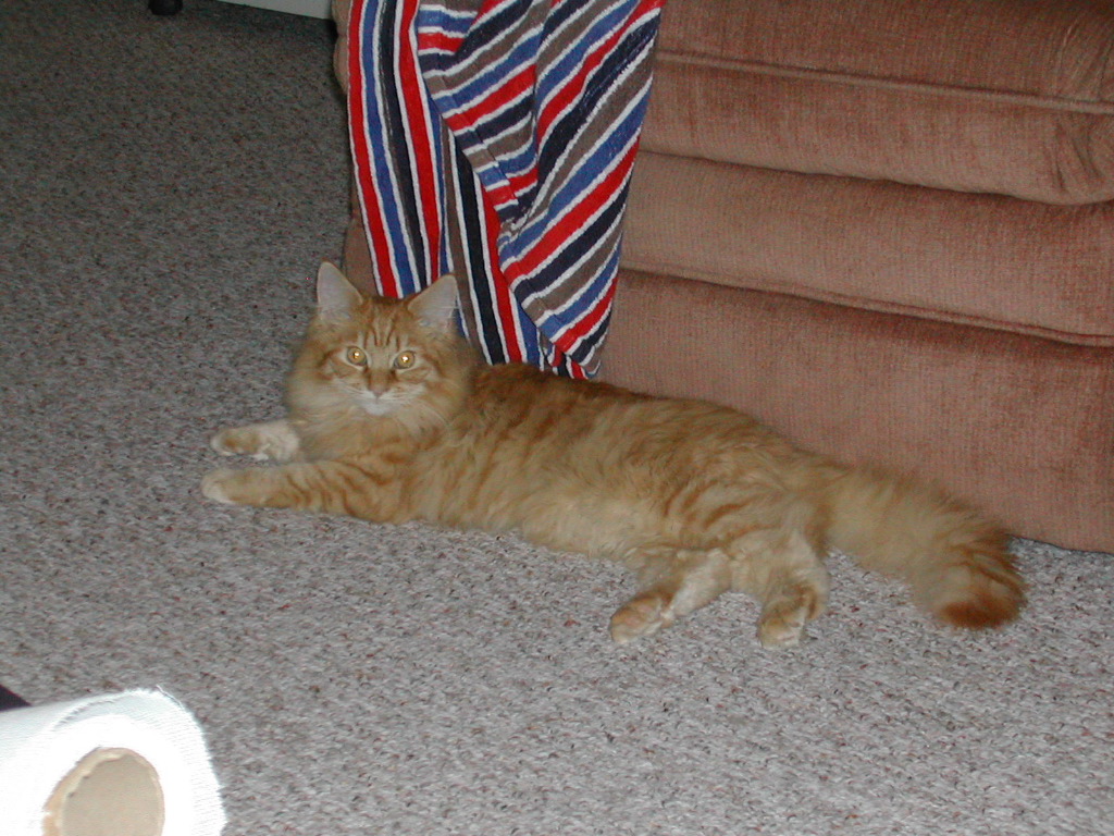 DSCN0766.JPG
