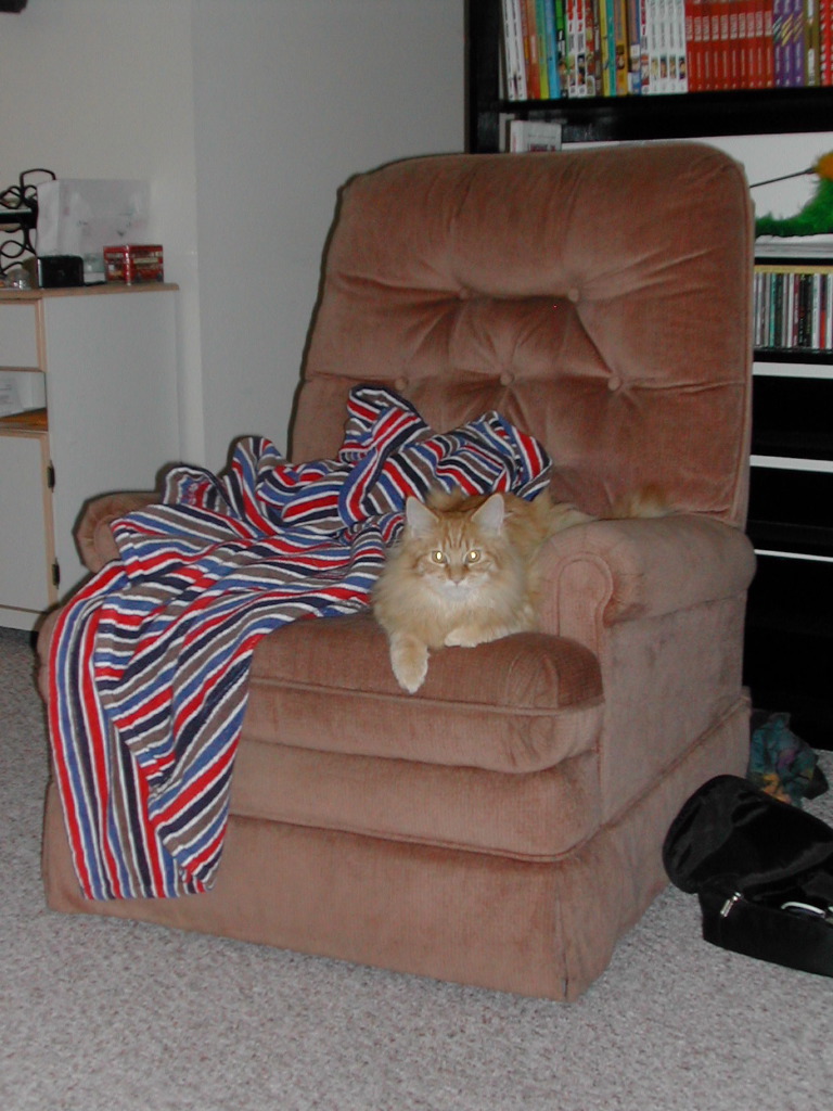 DSCN0768.JPG