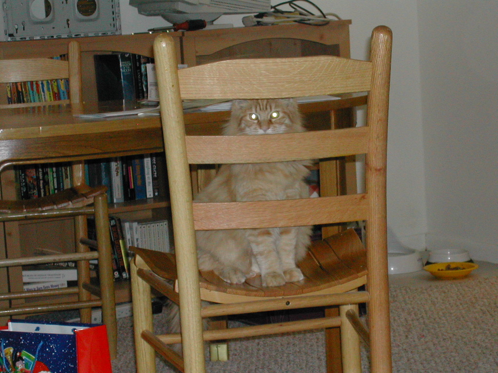 DSCN0771.JPG