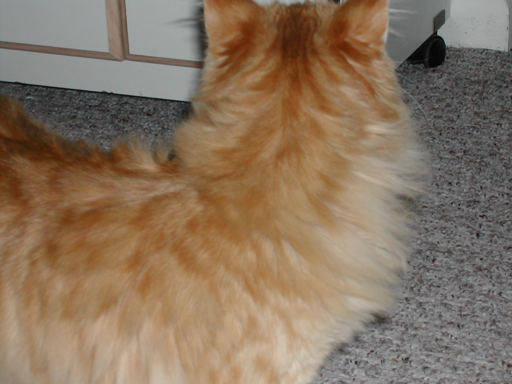 DSCN0777.JPG