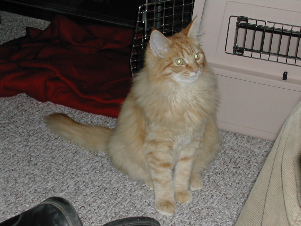 DSCN0749.JPG