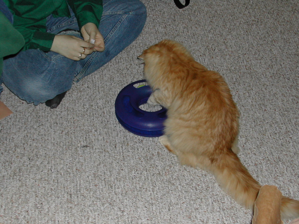 DSCN0792.JPG