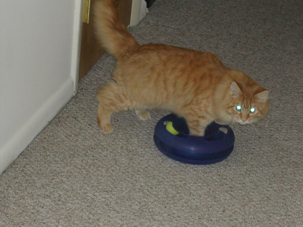 DSCN0793.JPG