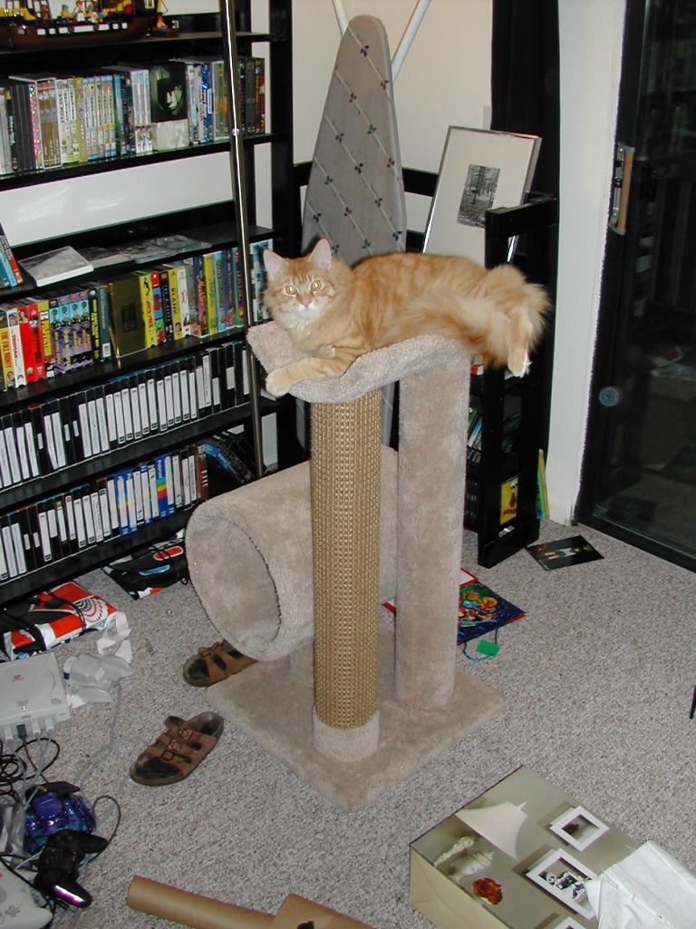 DSCN0825.JPG