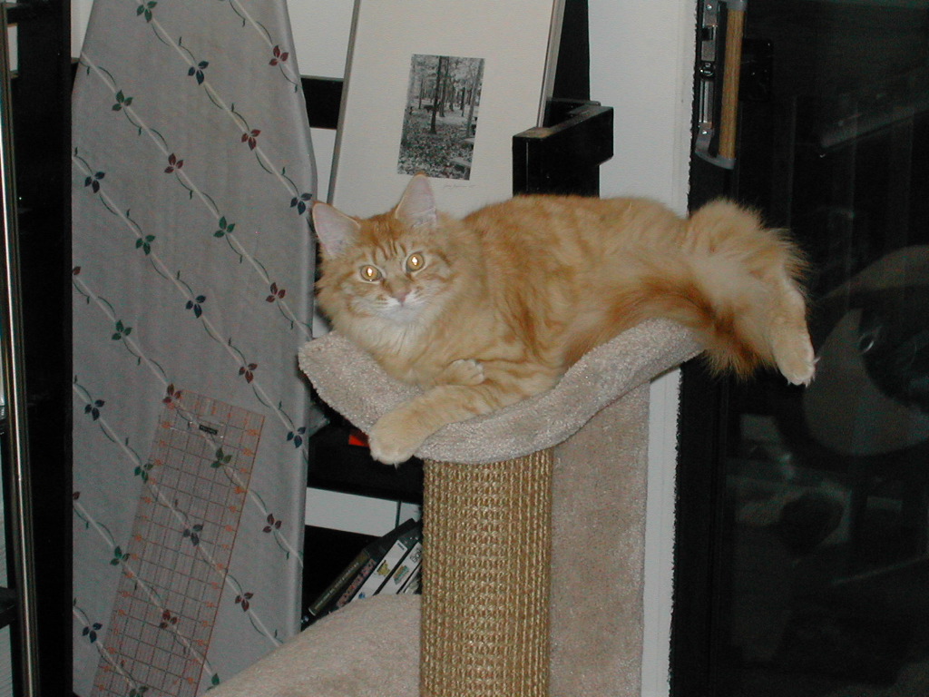 DSCN0827.JPG