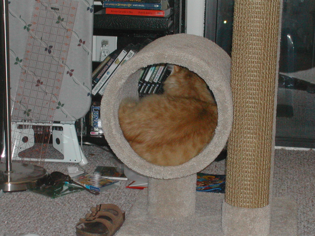DSCN0828.JPG
