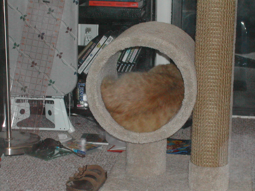 DSCN0829.JPG