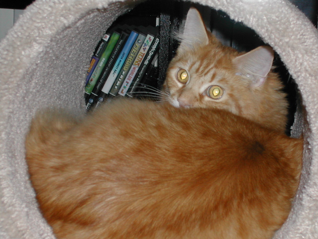 DSCN0830.JPG