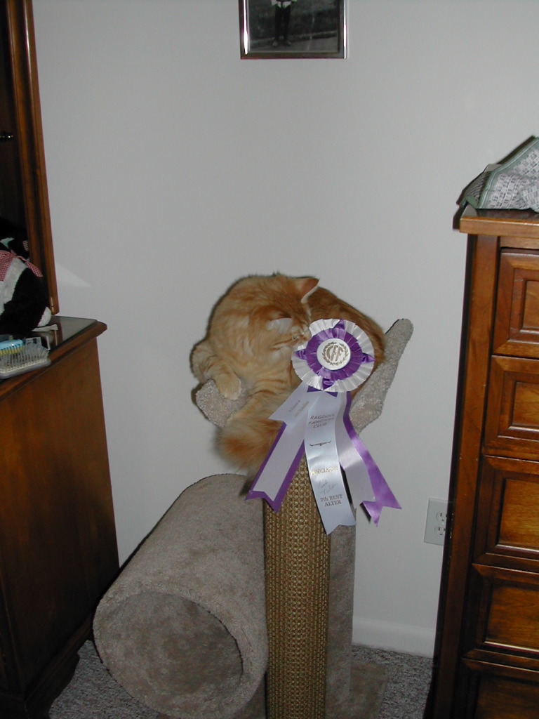 DSCN0831.JPG
