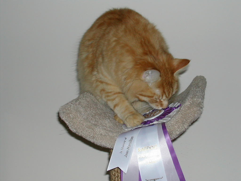 DSCN0836.JPG