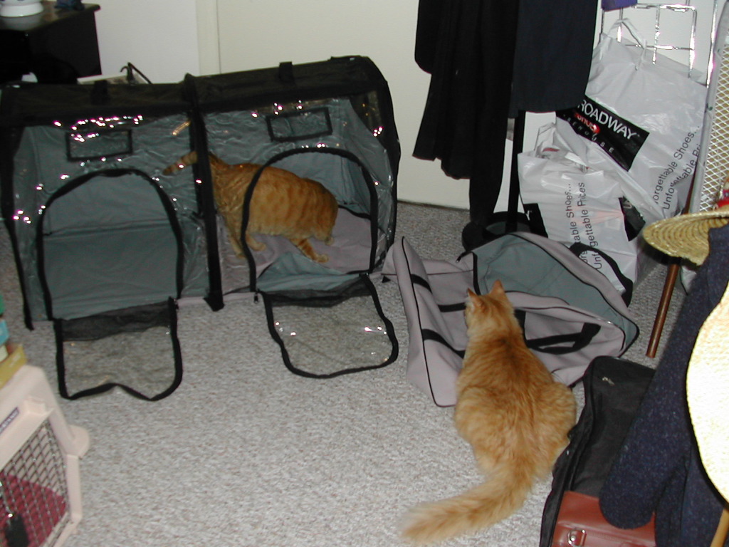 DSCN0860.JPG