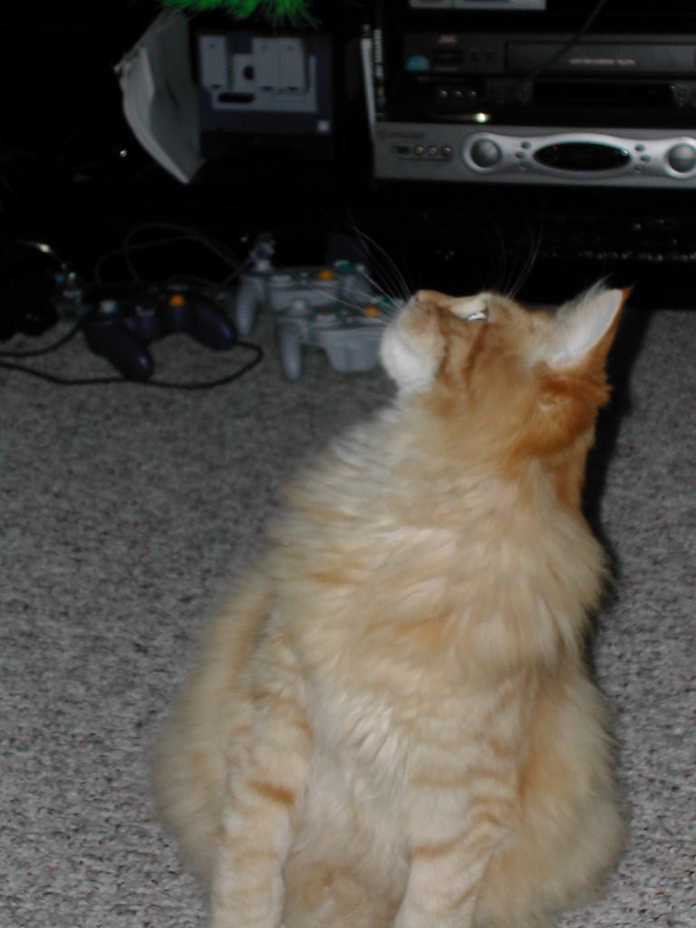 DSCN0754.JPG