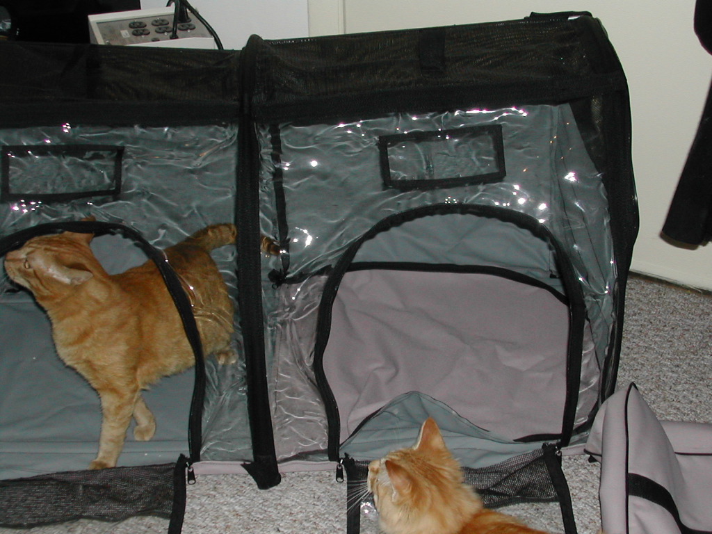 DSCN0861.JPG