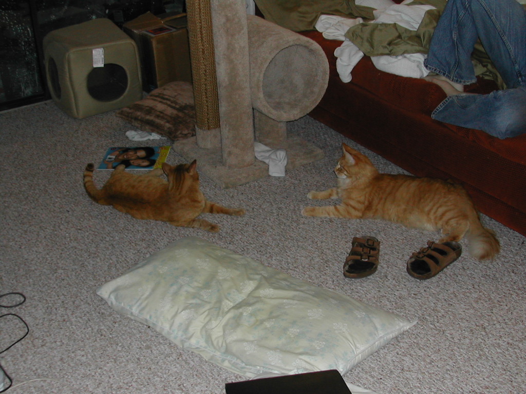 DSCN0862.JPG