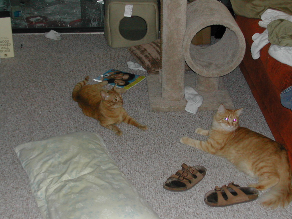 DSCN0863.JPG