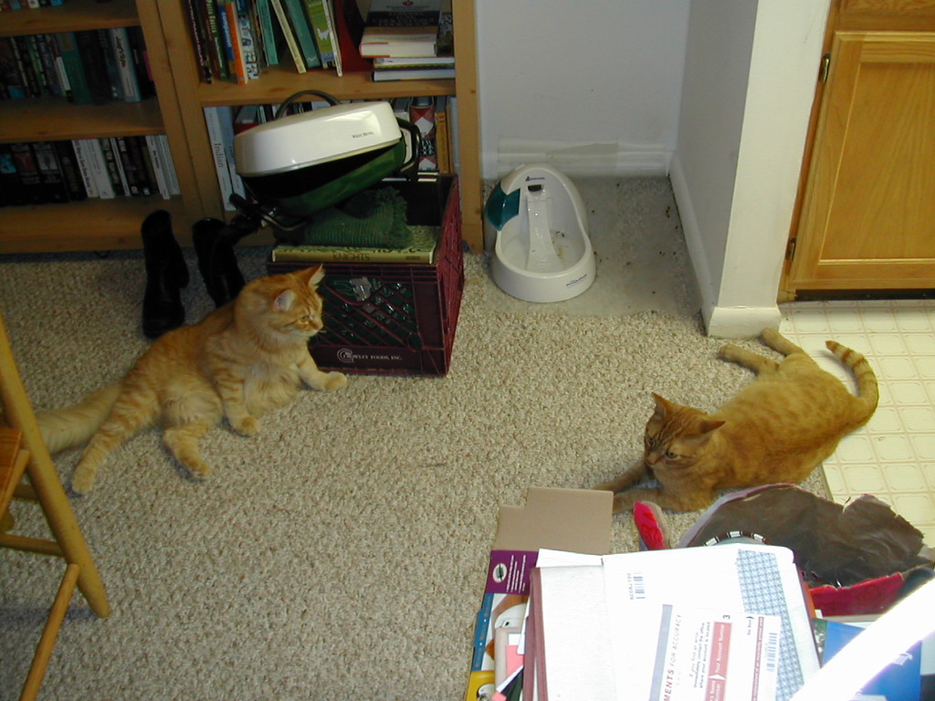 DSCN0864.JPG