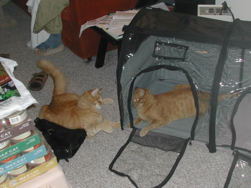 DSCN0866.JPG