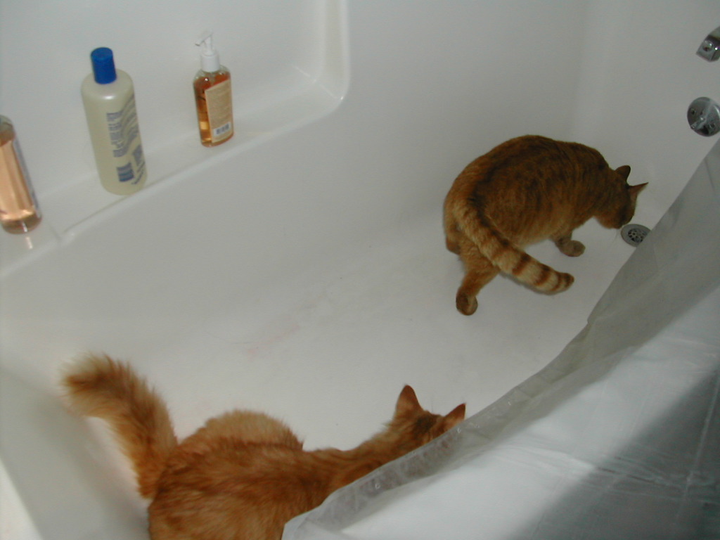 DSCN0868.JPG