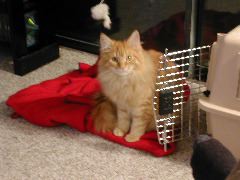 DSCN0744.JPG