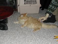 DSCN0759.JPG