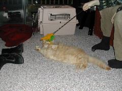 DSCN0763.JPG