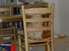 DSCN0771.JPG