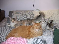 IMG_0620.JPG