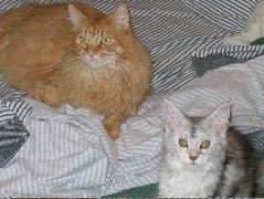 IMG_0621.JPG