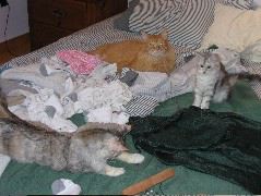 IMG_0622.JPG